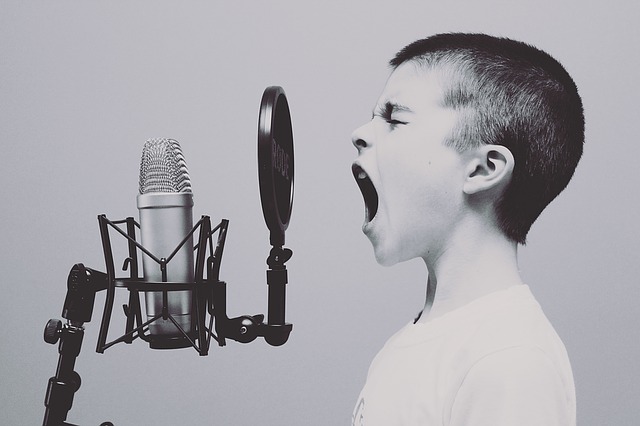 Selbstausdruck durch Sprache - Free-Photos/Pixabay