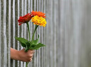 Zuhören ist ein Geschenk