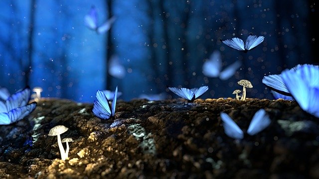 Trauma und Gedächtnis: Schmetterlinge in blau die leuchten