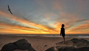 Traumatisierung: zehnjähriger Junge blickt in den Sonnenuntergang und einem Vogel nach