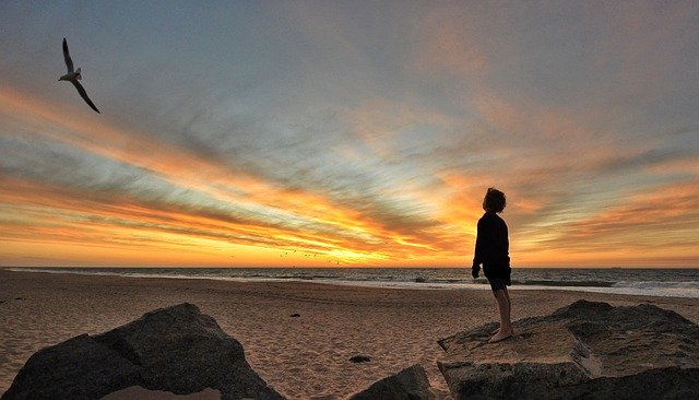 Traumatisierung: zehnjähriger Junge blickt in den Sonnenuntergang und einem Vogel nach