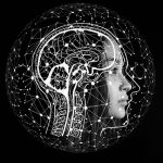 Gehirn als Symbol für Neurofeedback bei Entwicklungstrauma