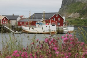 schwedische landschaft, typisches rotes haus mit blumen und see